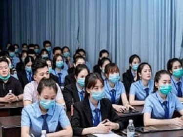 案例展示五